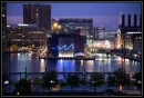 Baltimore Beauty
