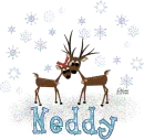 Neddy