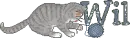 Wil