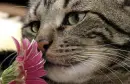is that smelly?