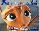 Sad Ants