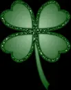 lucky shamrock