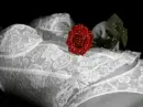 croset and rose