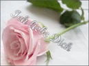 Rose der Liebe 