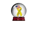 Support our Troops snowglobe with the nane Brooke  on it
