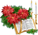 Christmas flowers
