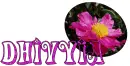 Dhivyia