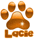Paw Print