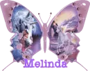 melinda's pink unicorn butterfly