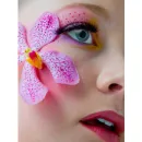 orchid