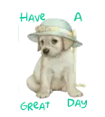 have a great day