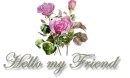 HELLO FRIEND