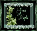 GOOD NIGHT