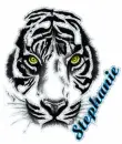 Stephanie~White Tiger