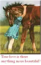 horse love