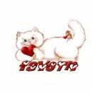 text