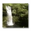 Water Fall