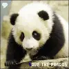 Save The Pandas