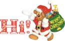 hi teddy stocking