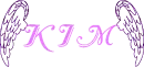 Kim-pink & purple wings