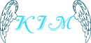 Kim-sky blue wings