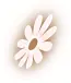 brown and pink flower