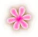 pink and brown flower