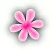 pink and black flower