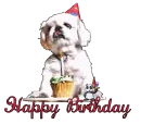 HAPPY BIRTHDAY