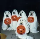 it's halloween