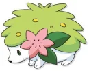 shaymin