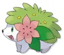 shaymin