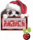 Andrea 