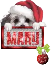 Mary