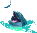dolphin