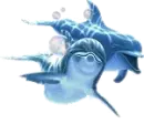 dolphins
