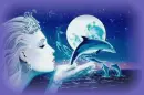 dolphin & fairy