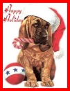 happy holiday