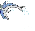 dolphin