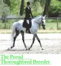 thoroughbred breeder