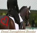 thoroughbred breeder