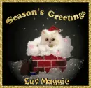 Seasons greetings kitty love Maggie
