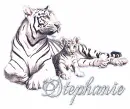 Stephanie~Tiger