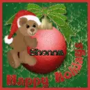 Happy Holidays Shonna bear