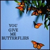 butterflys