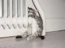 good sleep
