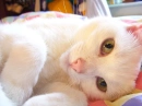 cute cute