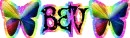 Bev - Butterflies