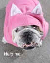 Help Me