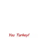 funny thanksgiving